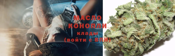 ГАЛЛЮЦИНОГЕННЫЕ ГРИБЫ Гусь-Хрустальный