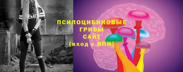 кокс Дмитров