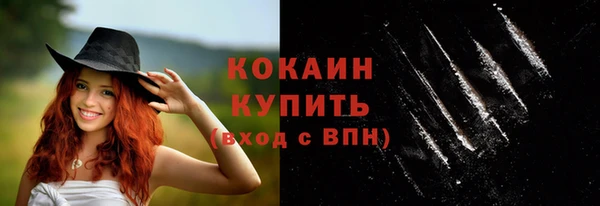 кокс Дмитров