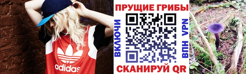 MEGA как войти  Меленки  Галлюциногенные грибы Psilocybe 